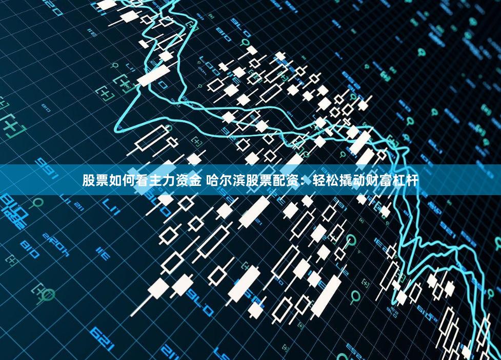 股票如何看主力资金 哈尔滨股票配资：轻松撬动财富杠杆
