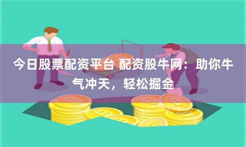 今日股票配资平台 配资股牛网：助你牛气冲天，轻松掘金