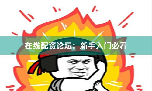 在线配资论坛：新手入门必看