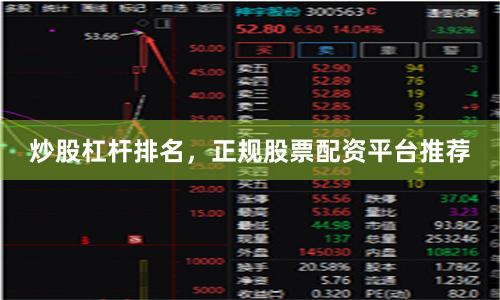 炒股杠杆排名，正规股票配资平台推荐