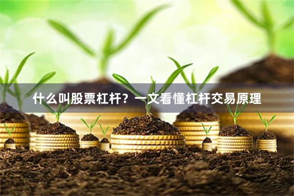 什么叫股票杠杆？一文看懂杠杆交易原理