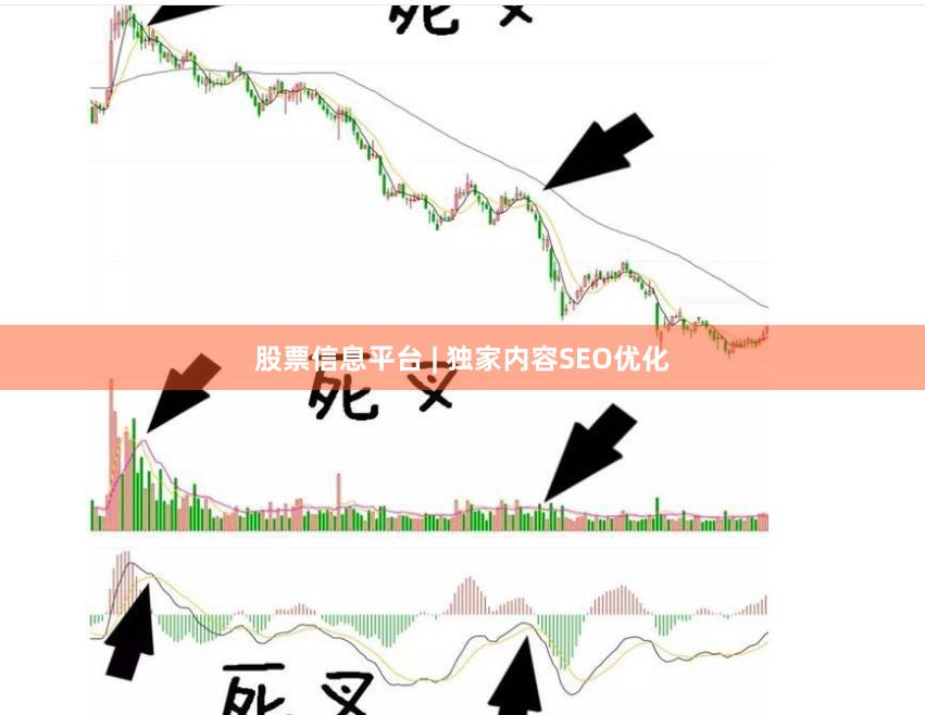 股票信息平台 | 独家内容SEO优化
