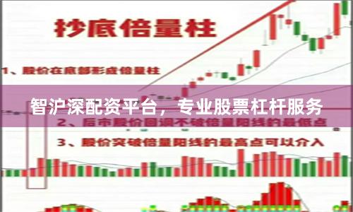 智沪深配资平台，专业股票杠杆服务